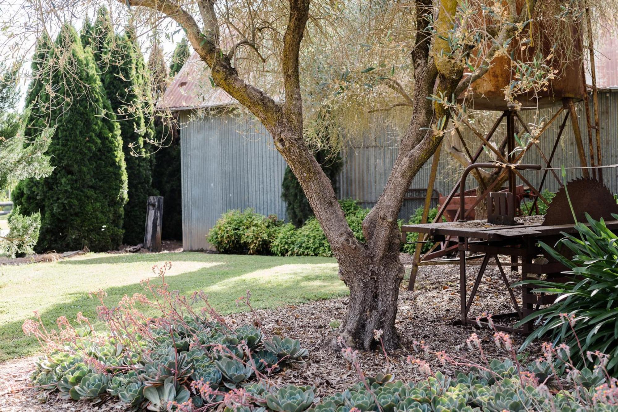 Walnut Tree Cottages Whorouly Bagian luar foto