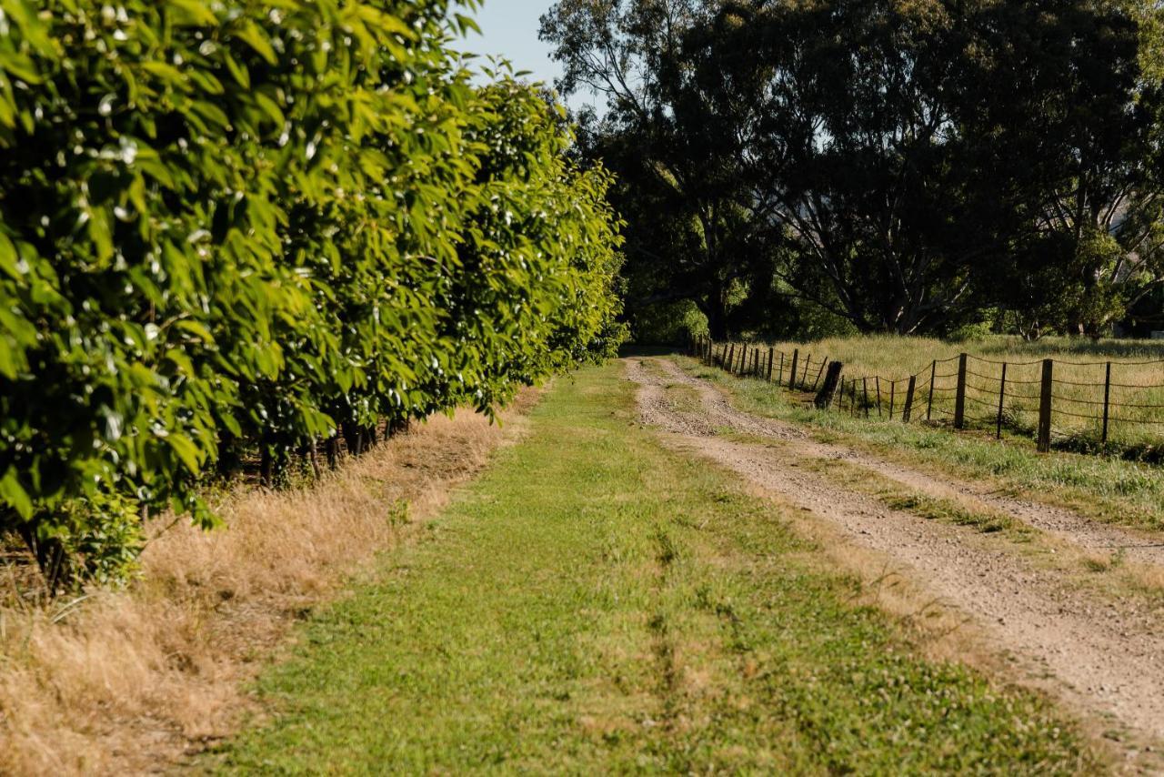 Walnut Tree Cottages Whorouly Bagian luar foto